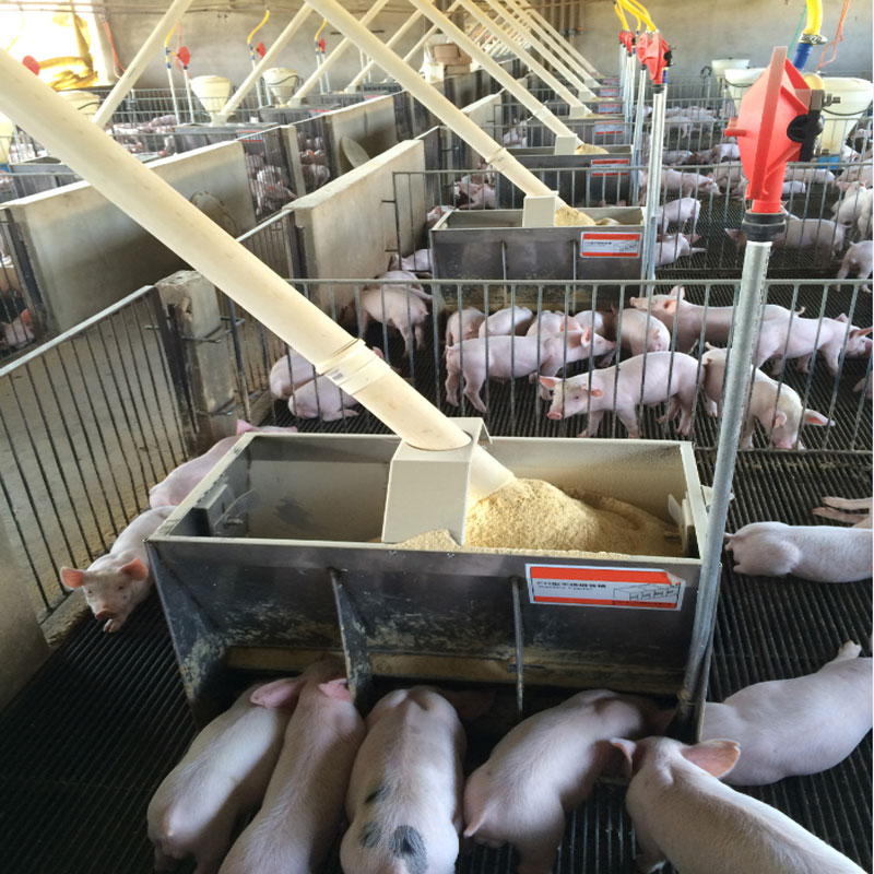 pig-feeder-one.jpg