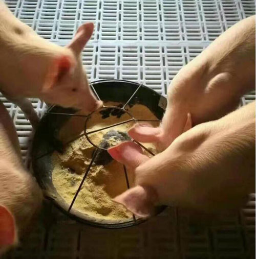 QQ截图20220101234240one.jpg