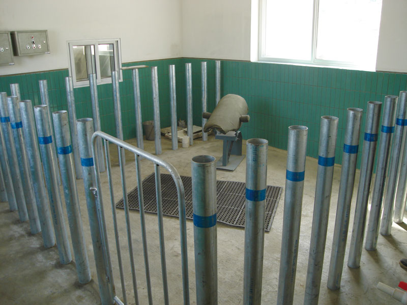 collection-dummy-for-boar假母台-(2)one.jpg